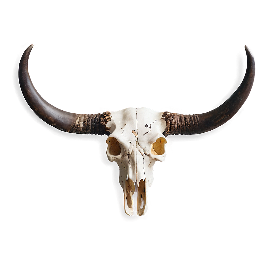 Bull Skull B PNG