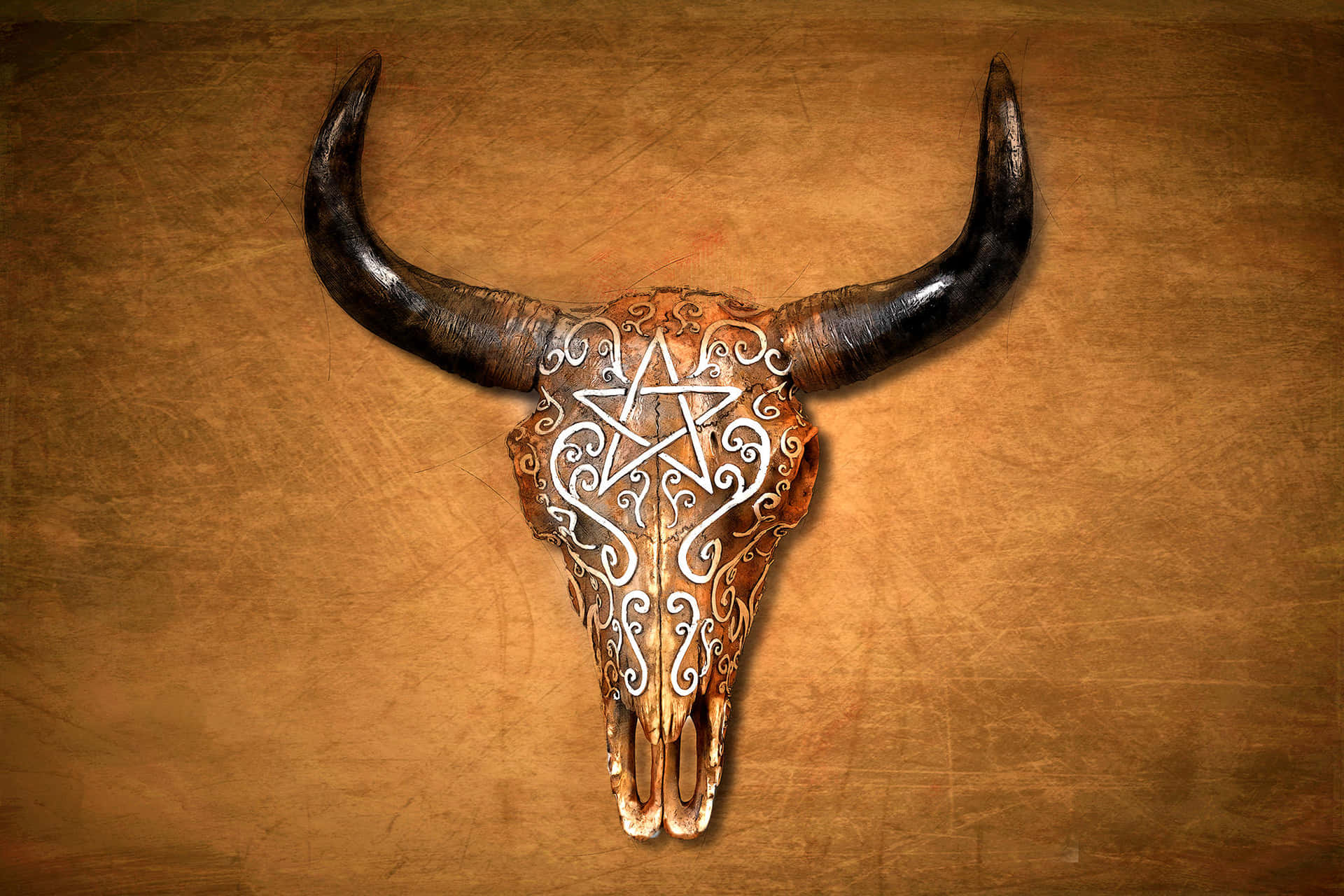 "the Skull Of A Bull Stands Bravely In The Wilderness" Wallpaper