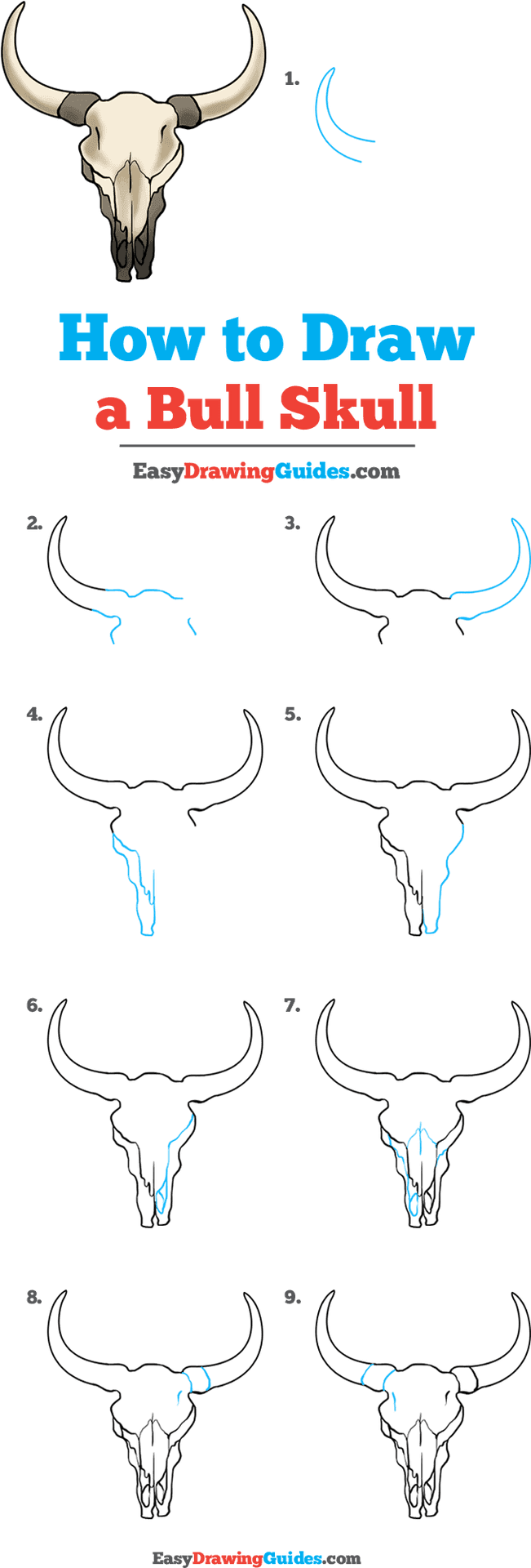 Bull Skull Drawing Tutorial PNG