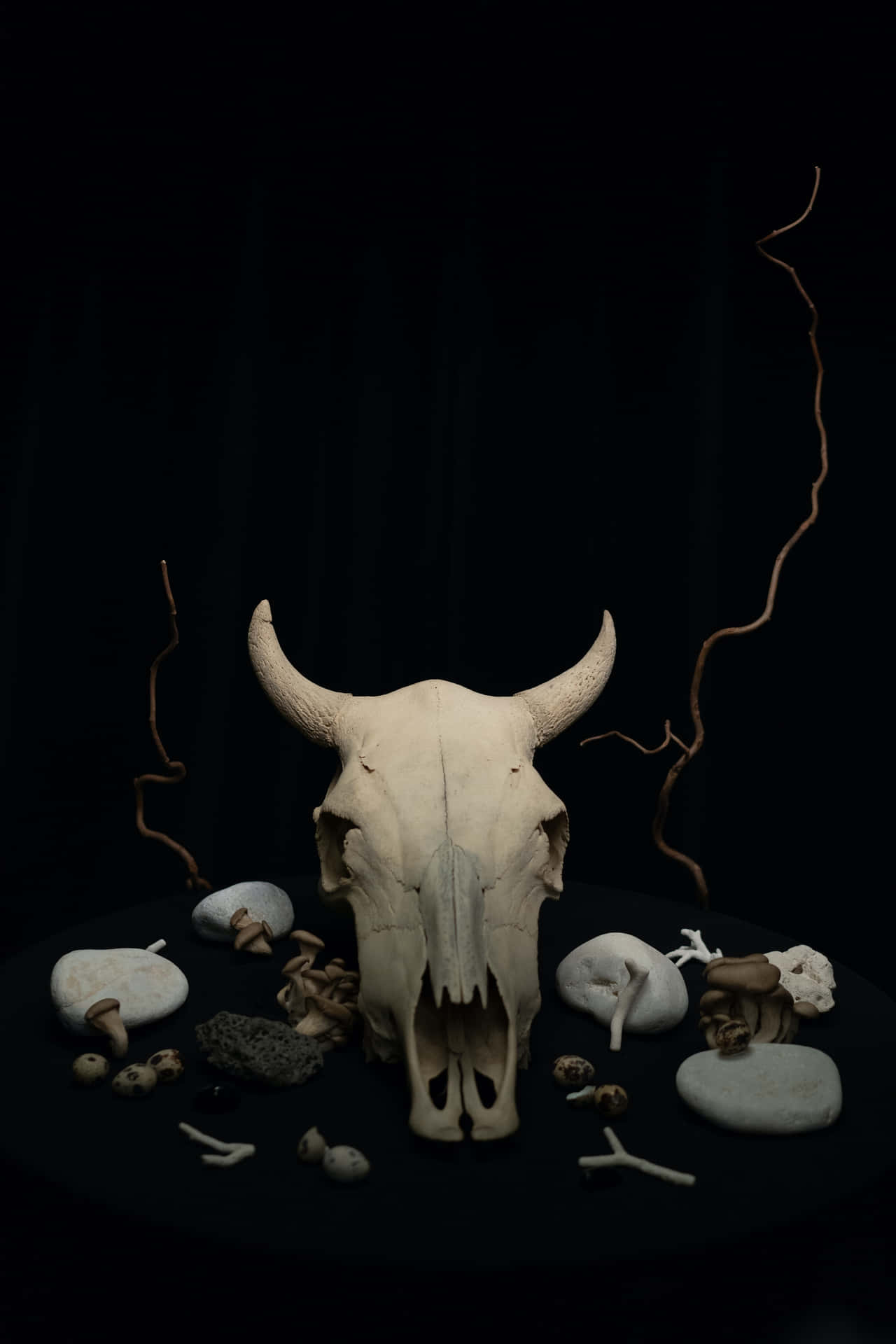 Cráneode Toro Con Huesos Y Piedras. Fondo de pantalla
