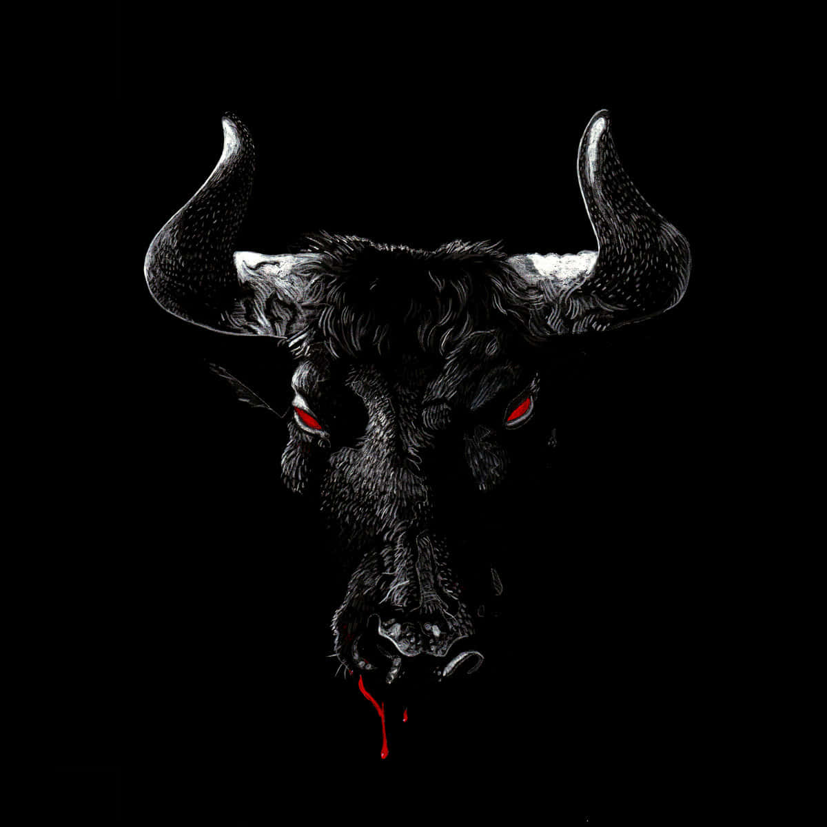 Bull Skull In The Dark Wallpaper