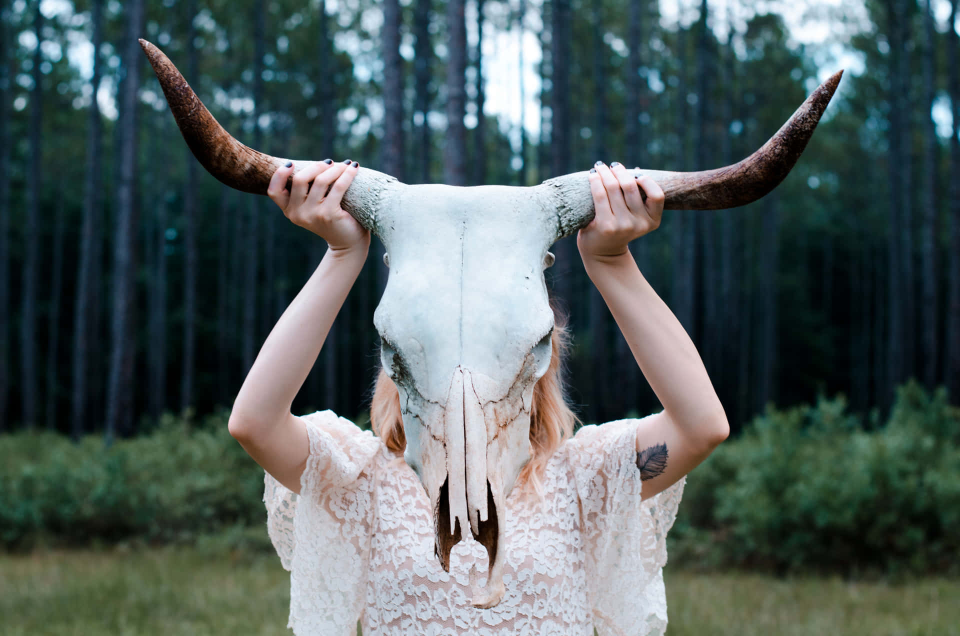 Mujersosteniendo Un Cráneo De Toro. Fondo de pantalla