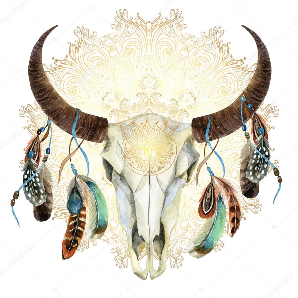 Bull Skull With Feathers Wallpaper