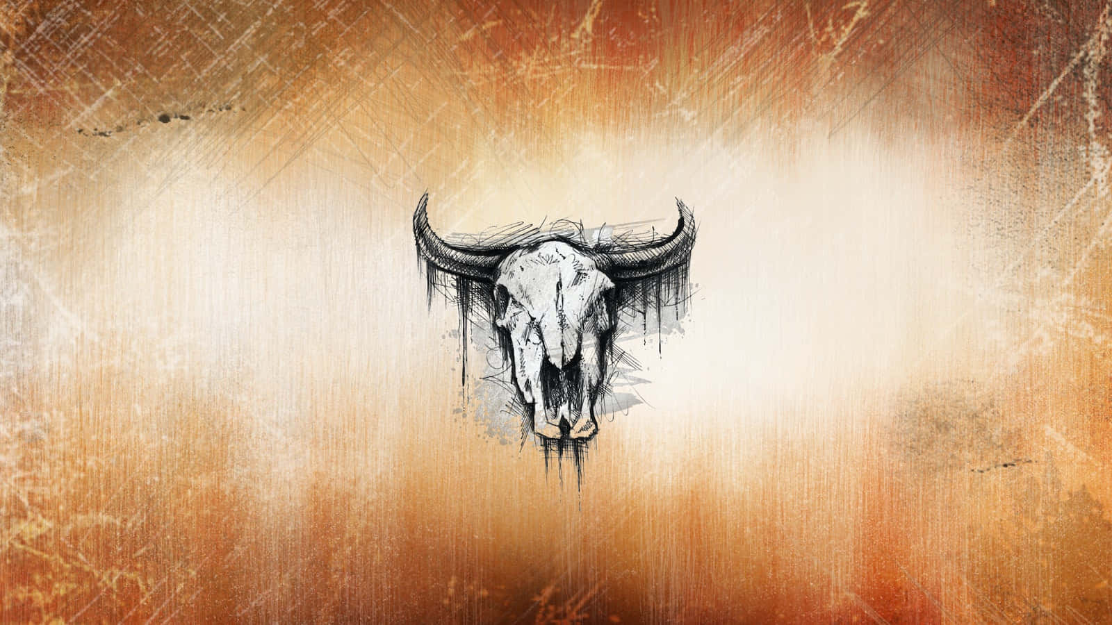 Bull Skull Pictures  Download Free Images on Unsplash