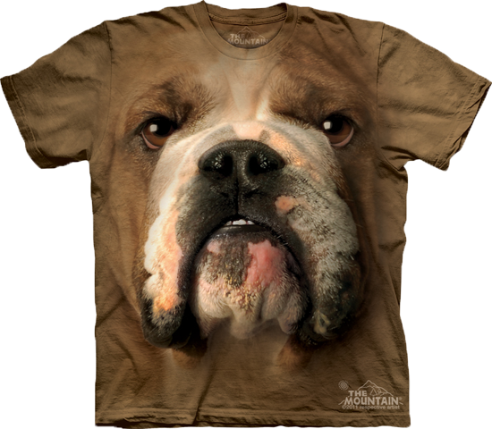 Bulldog Face T Shirt Graphic PNG