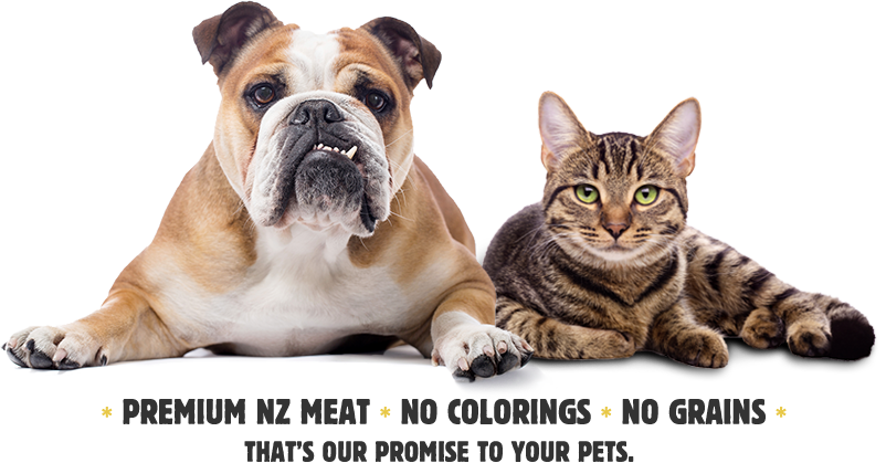 Bulldogand Tabby Cat Premium Pet Food Ad PNG