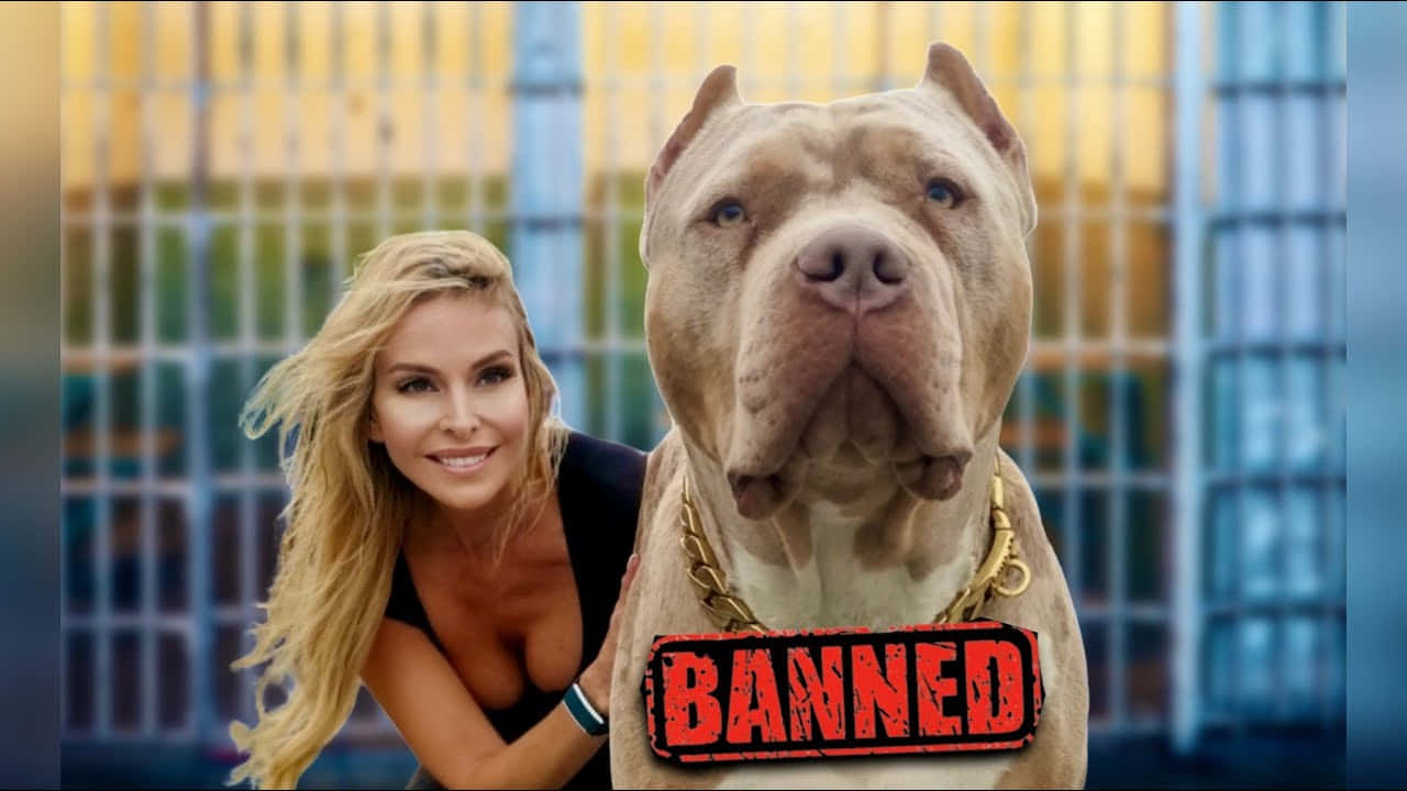 A Woman Is Posing With A Dog In A Cage
