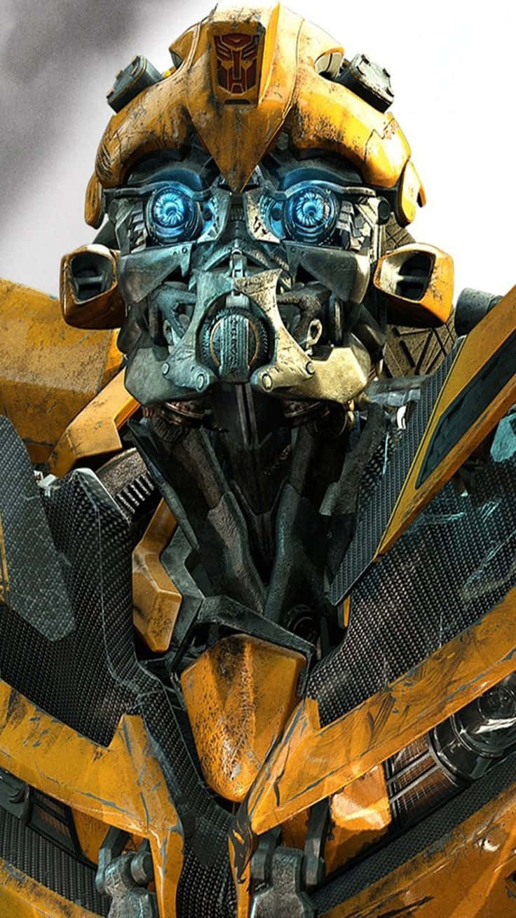Guardaquesto Fantastico Bumblebee Transformer!