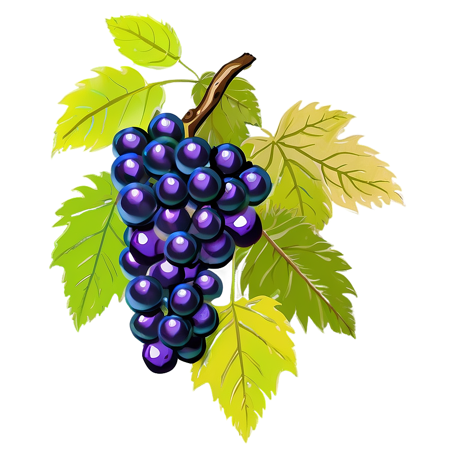 Bunch Of Grapes Png 05212024 PNG