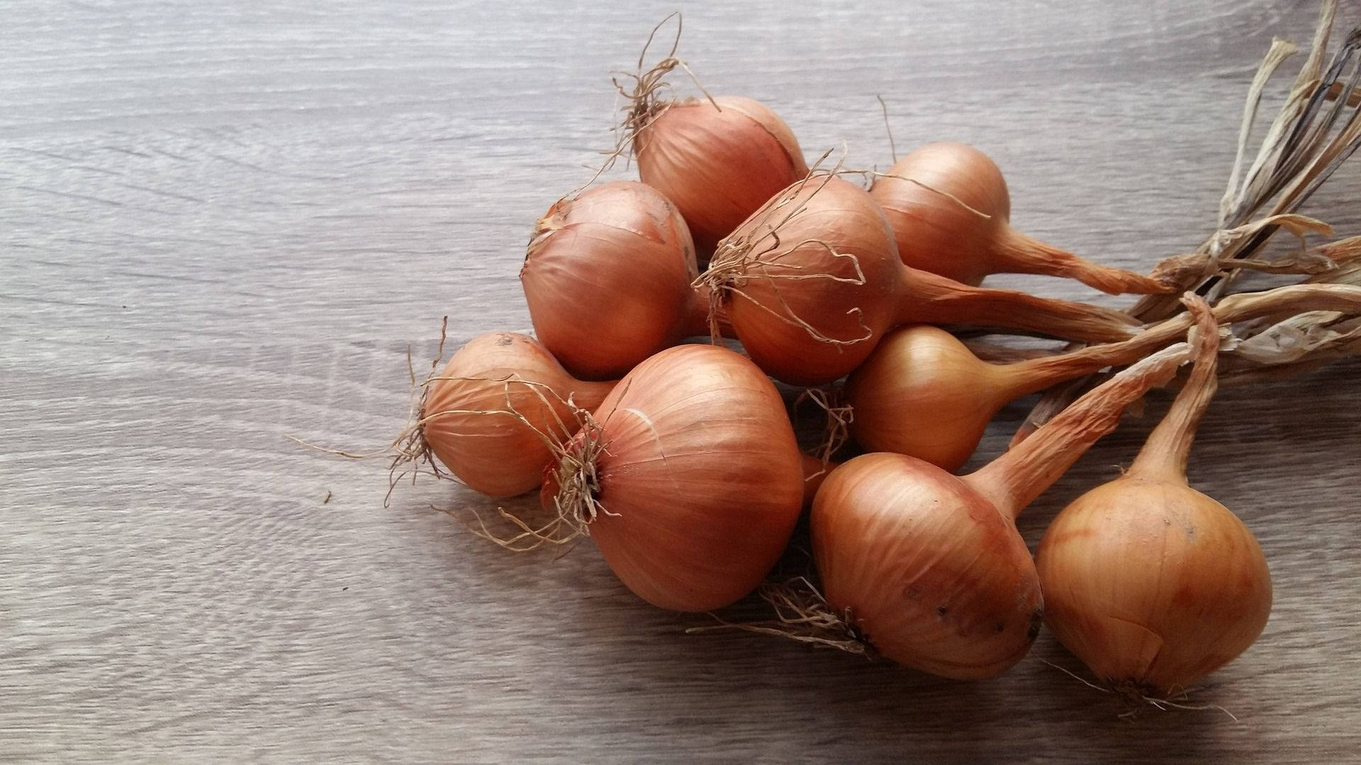 Bunch Of Onions With Roots Background