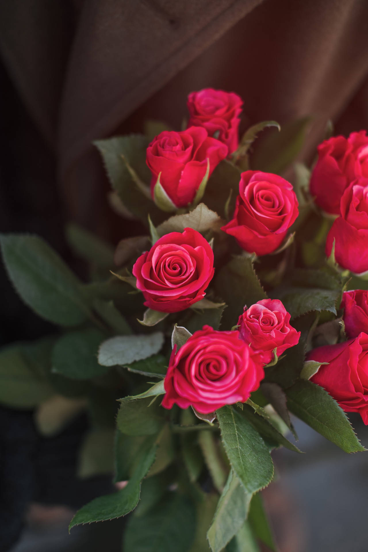 Bunch Of Red Roses Wallpaper