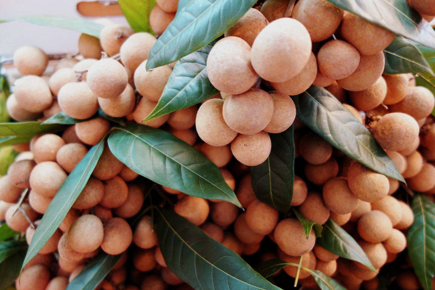 Bunches Of Longan Fruits Background