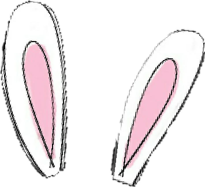 Bunny Ears Illustration.png PNG