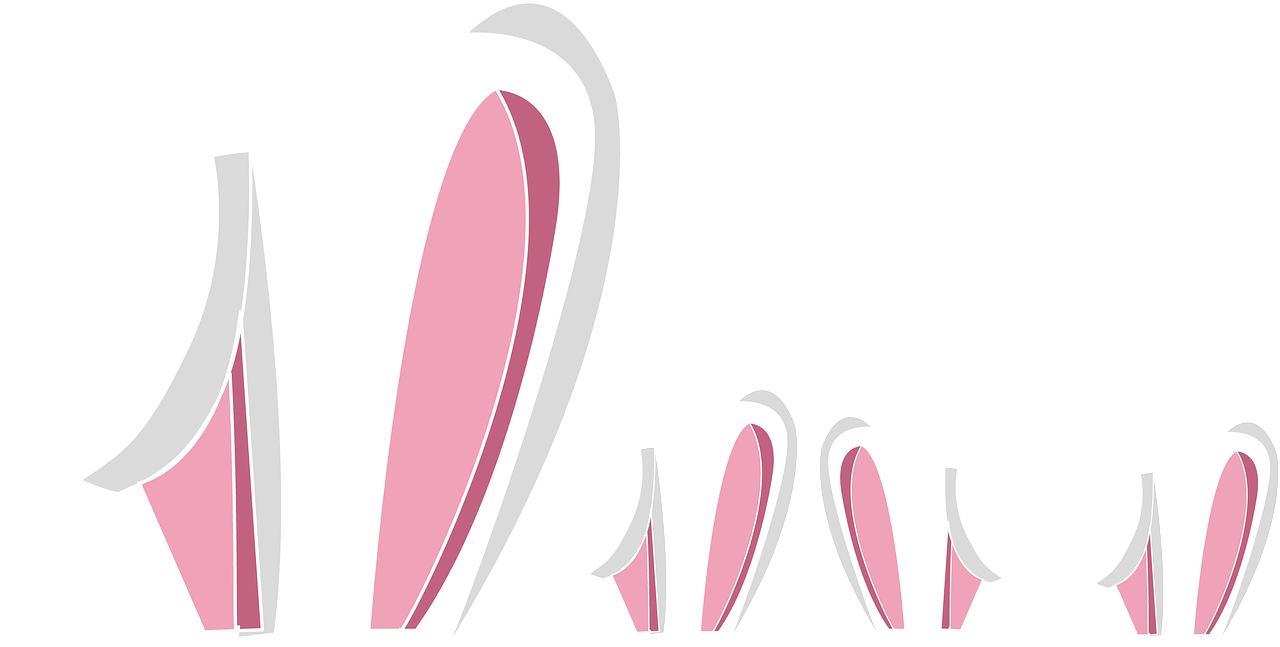 Bunny Ears Variety Set PNG