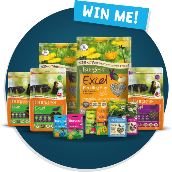 Burgess Excel Pet Food Giveaway PNG