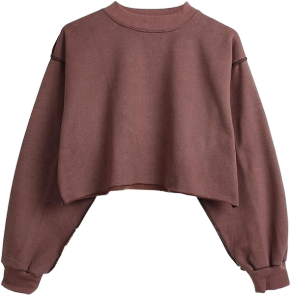 Burgundy Cropped Sweatshirt PNG