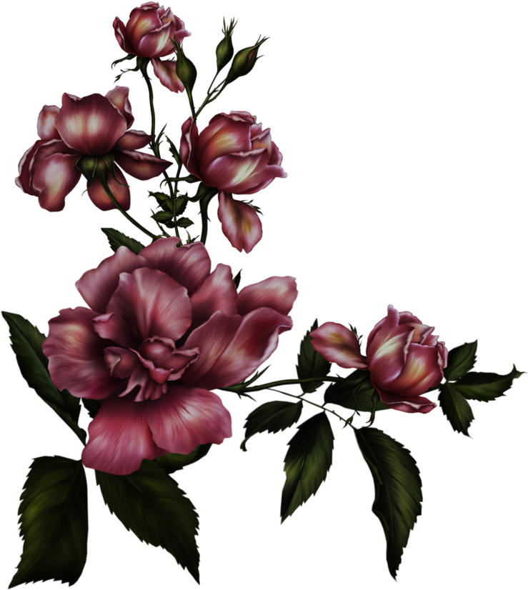 Burgundy Rose Floral Arrangement PNG