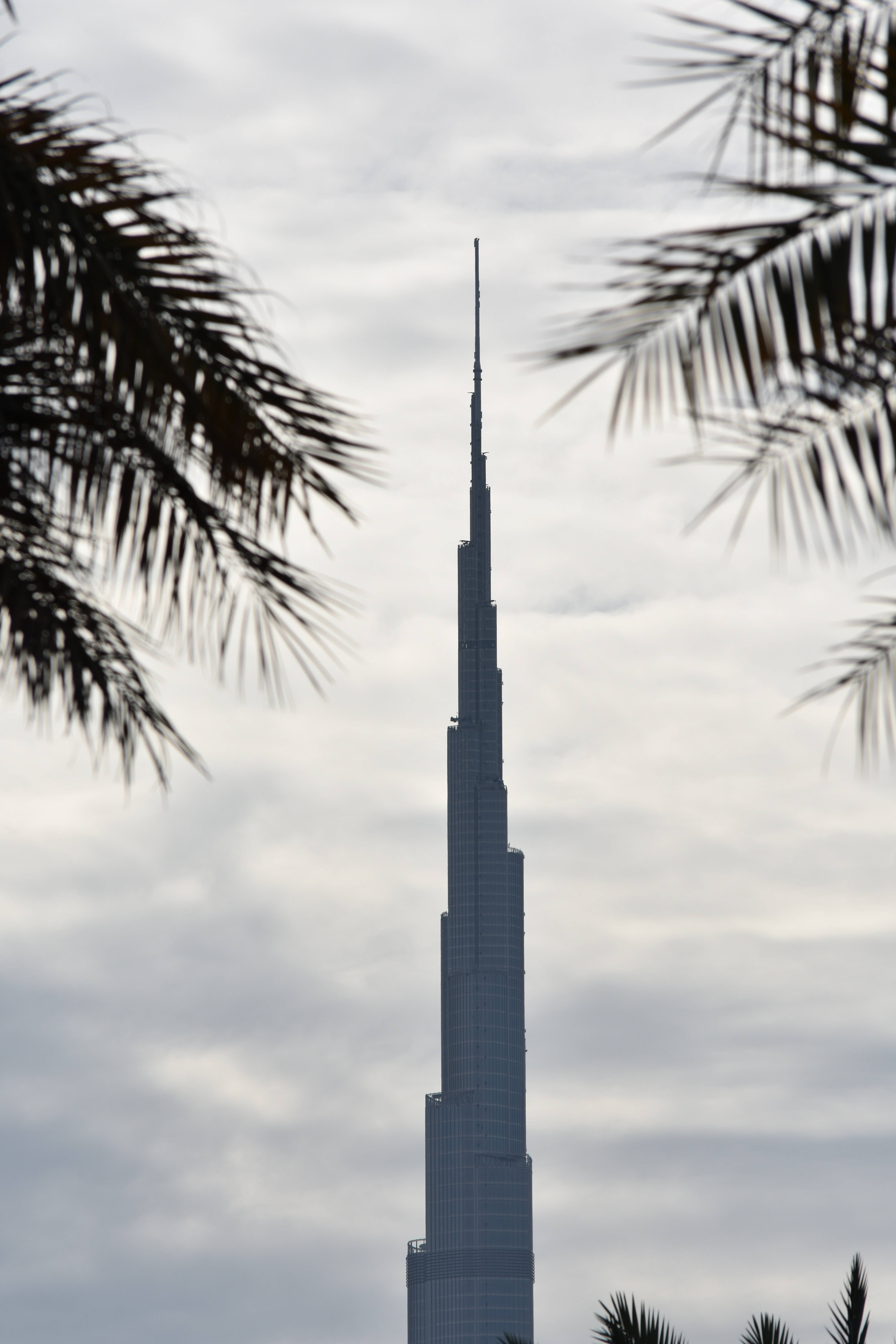Burj Khalifa And Palm Trees Wallpaper