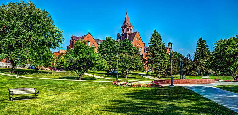 Burlington University Campus Summer Scenery Wallpaper