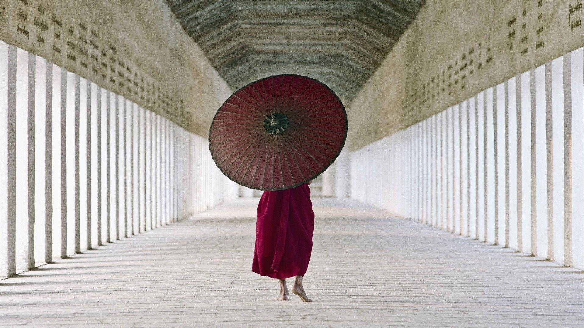 Burma Monk Carrying An Umbrella