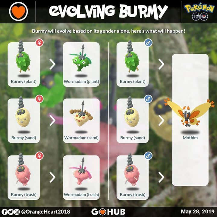 Burmy Stages Of Evolution Wallpaper