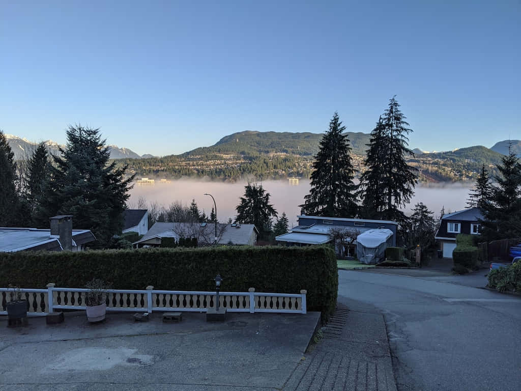 Burnaby Mountain View Overlooking Inlet Wallpaper