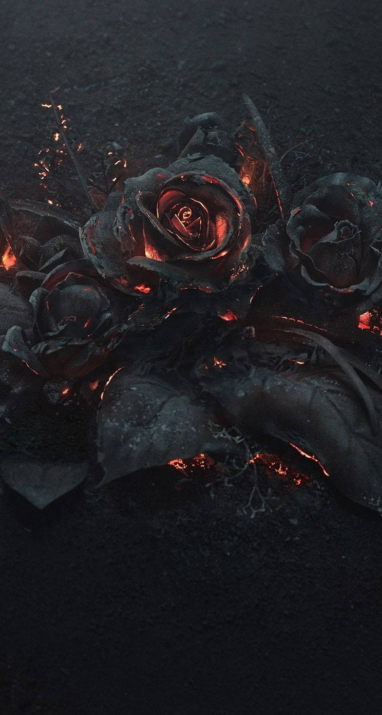 Burning Black Rose Aesthetic Wallpaper
