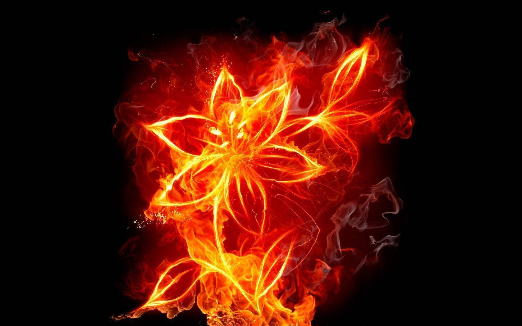 Burning Flower Fire Background Wallpaper