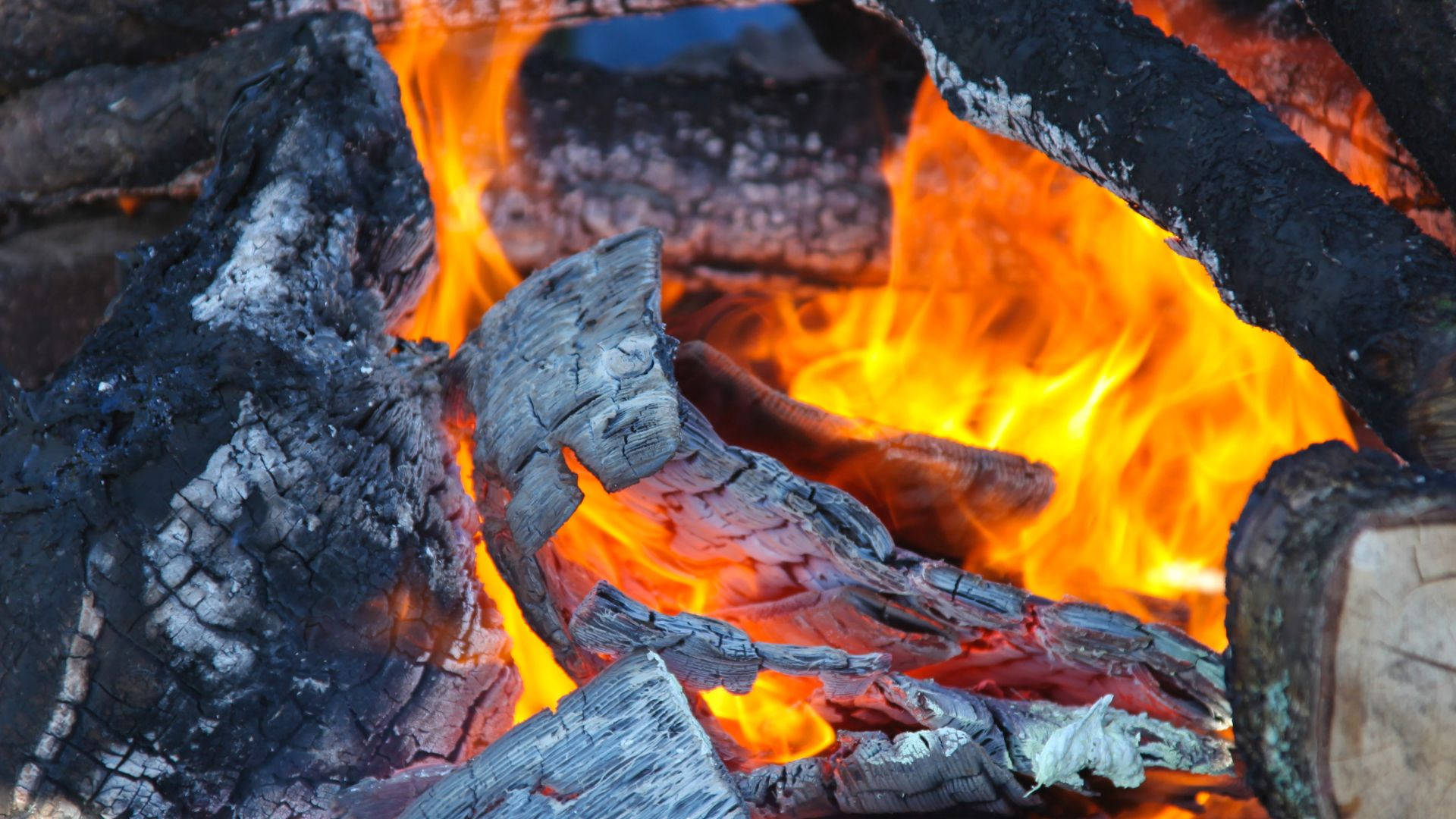 Burning Oak Wood Heat Background