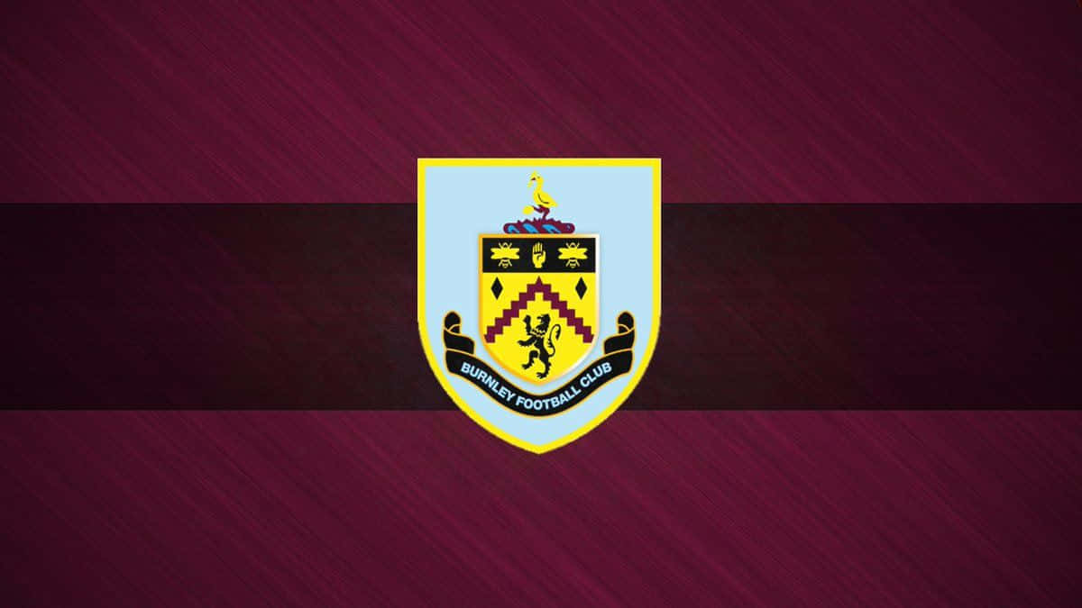 Celebrating Victory: Burnley FC Football Players in Action Wallpaper