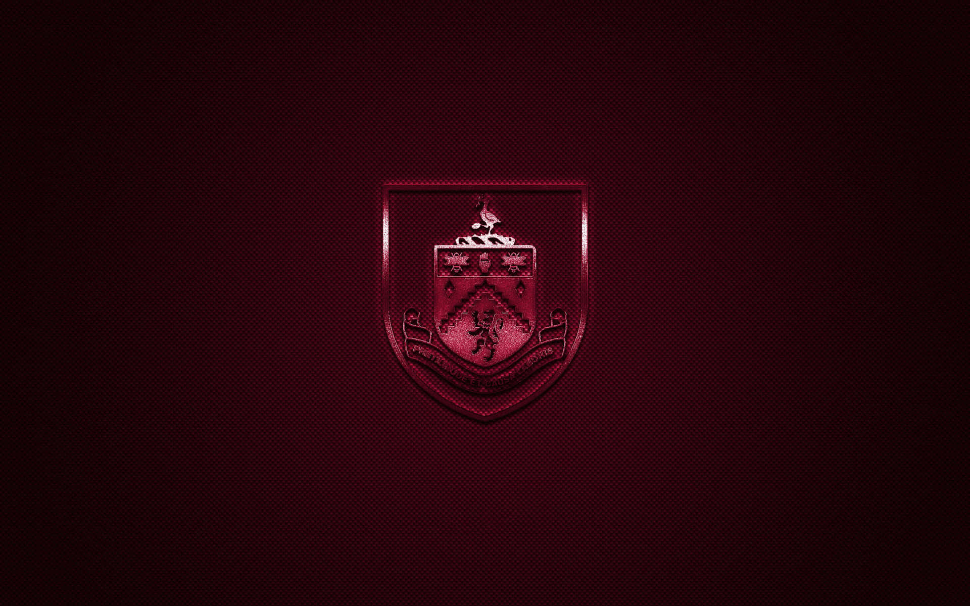 Burnley FC Players Celebrating on the Field Wallpaper