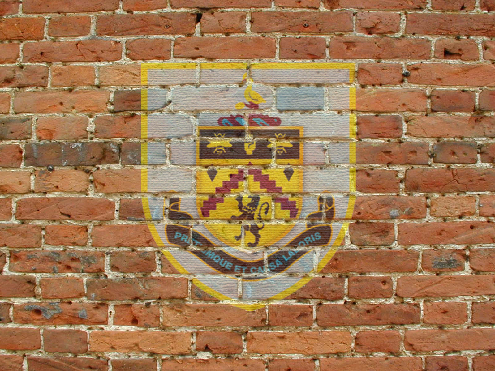 Burnley Fc:n Pelaajat Juhlivat Voittoaan Taustakuva