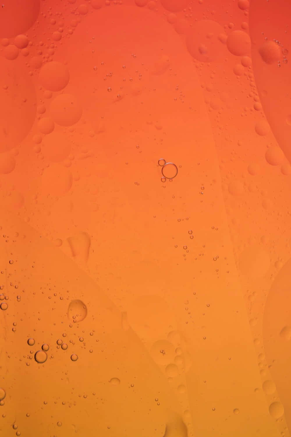 Burnt Orange Background Bubbles Drink