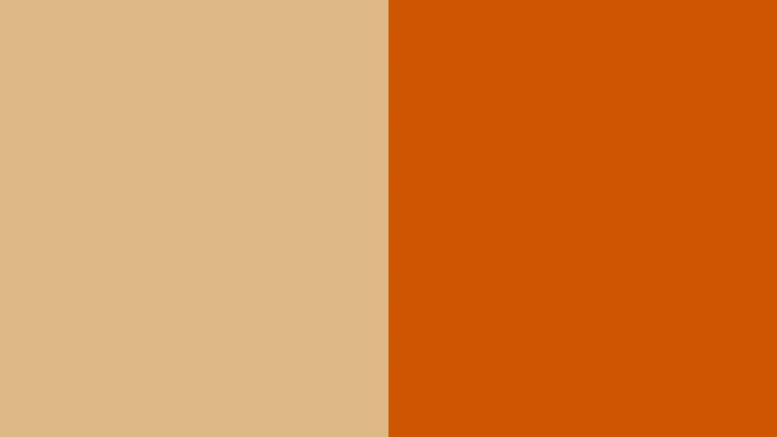 Burnt Orange Background Beige Color
