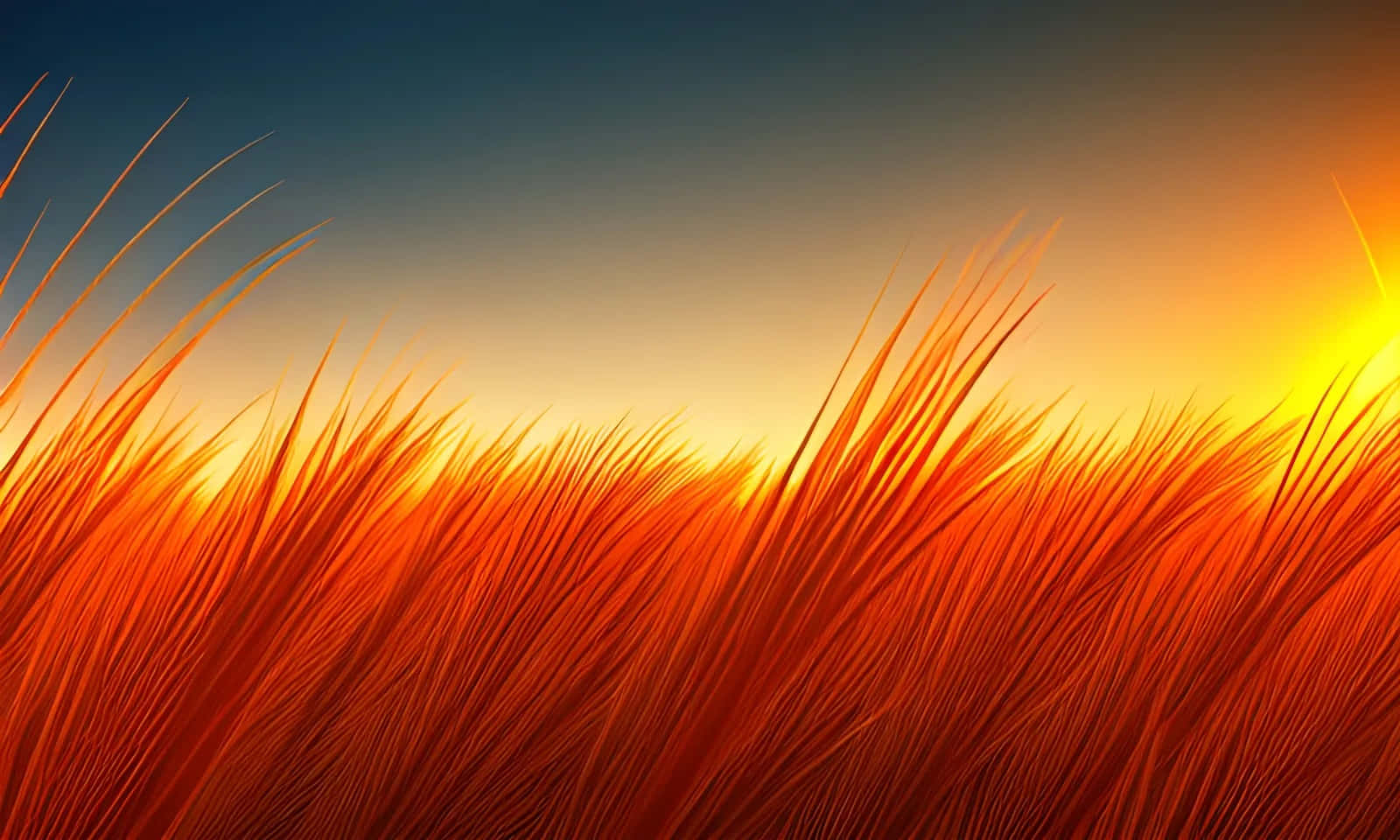 Verbrannterorangen Hintergrund Gras Himmel