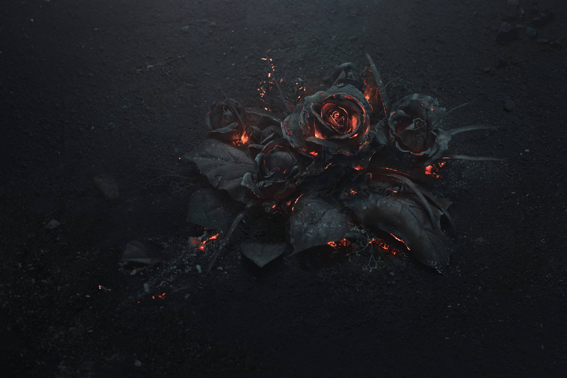 Burnt Roses Dark Theme Wallpaper