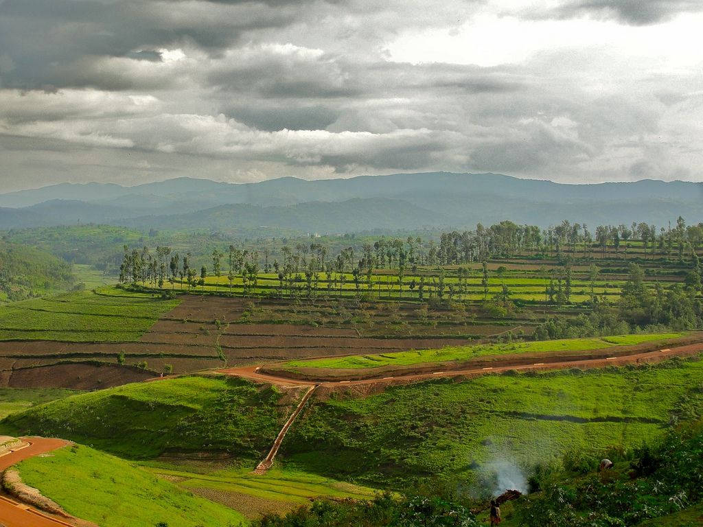 Burundi Hills And Lush Terrain Picture
