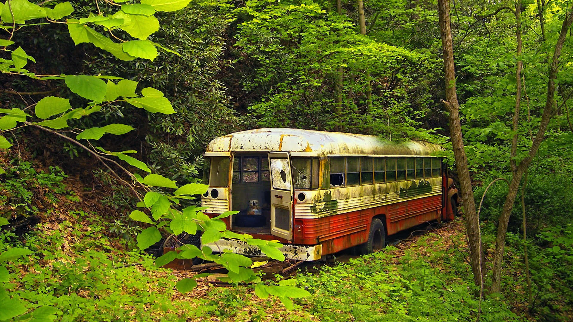 Abandoned Bus Pictures