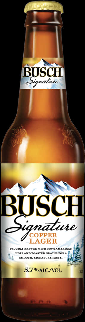 Busch Signature Copper Lager Bottle PNG