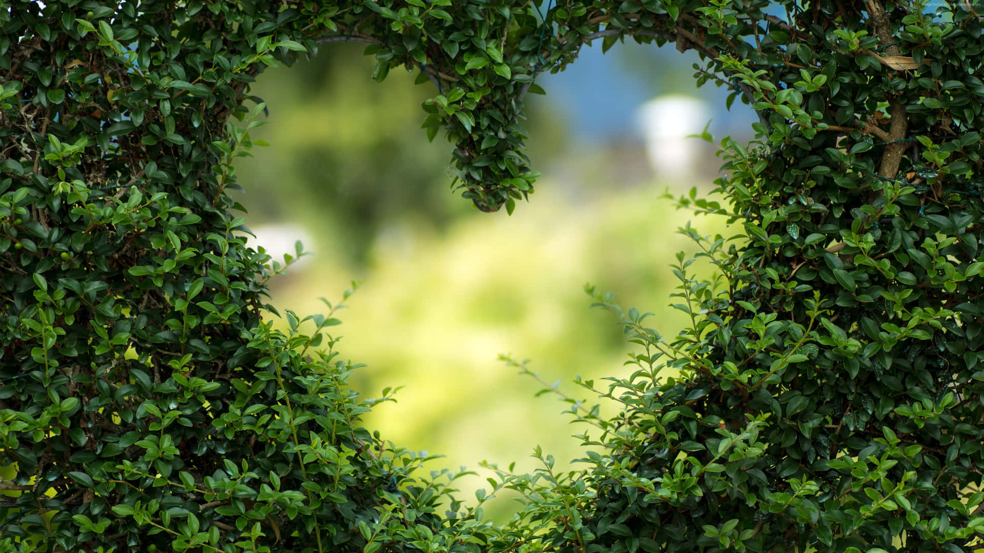 A Heart Shaped Hedge In The Middle Of A Green Field