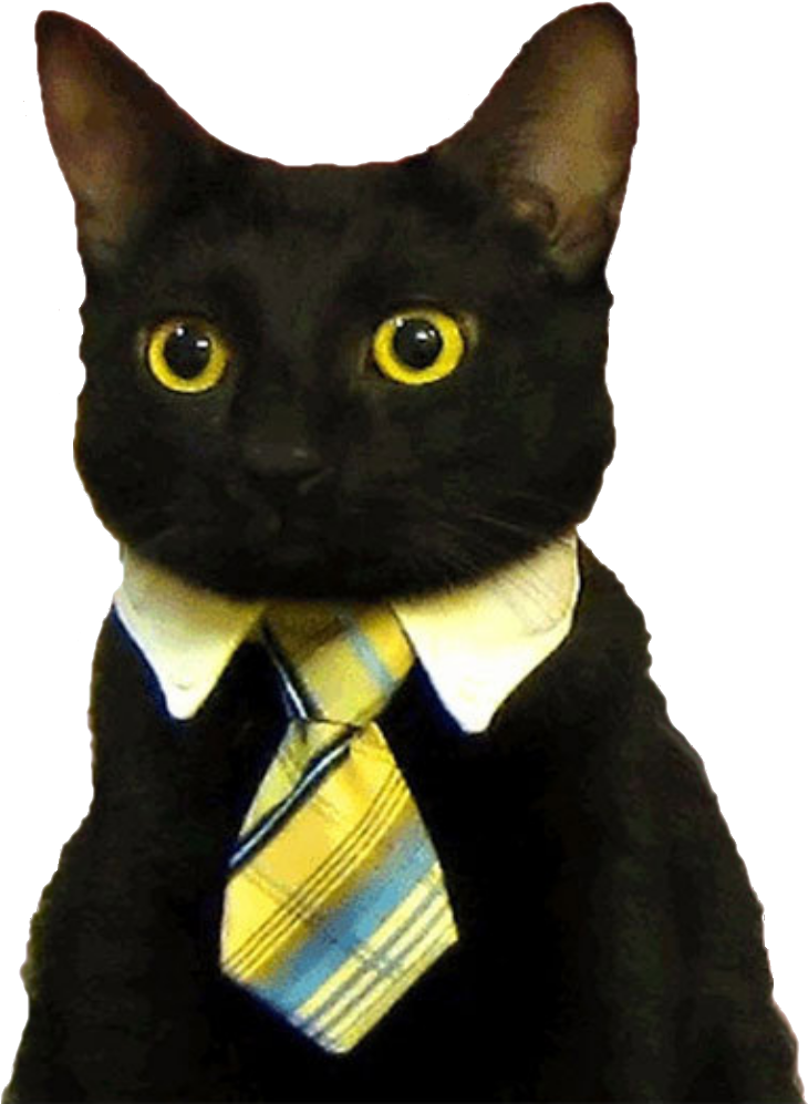 Business Cat In Suit_ Meme.png PNG