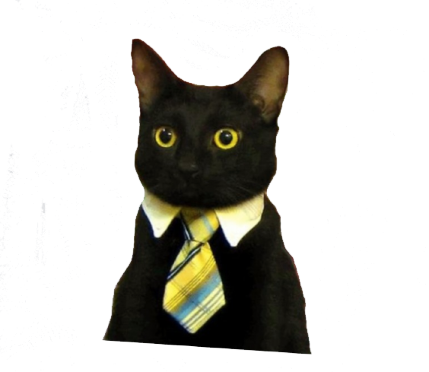 Business Cat Meme.png PNG