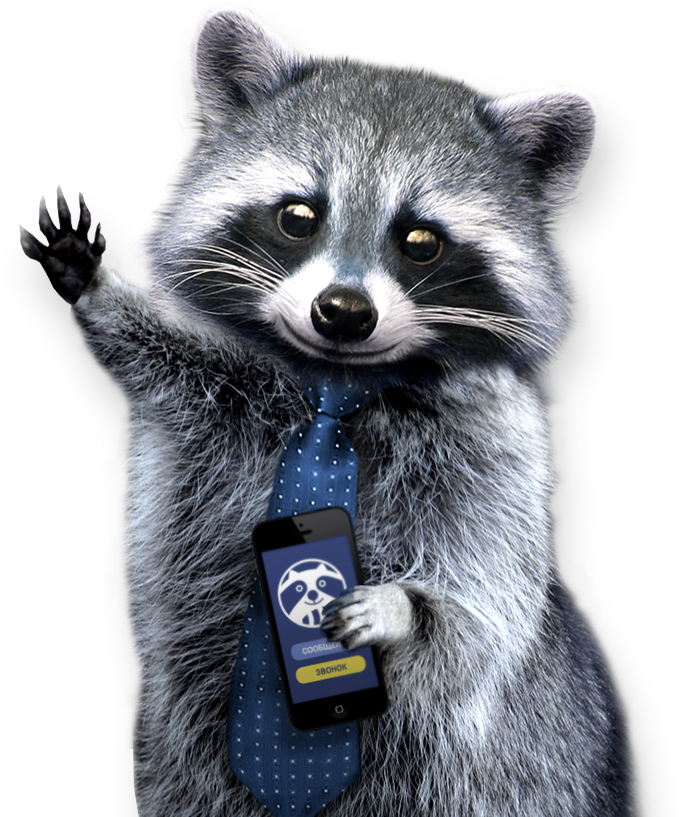 Business Raccoonwith Smartphone PNG