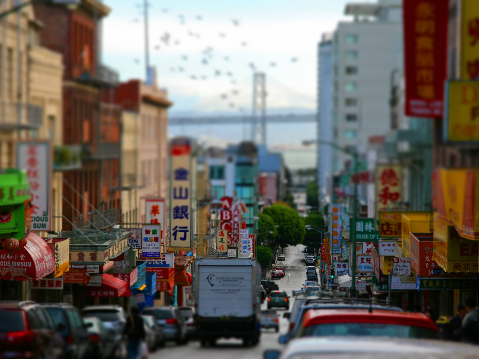 Busy Chinatown San Francisco Photography Picture