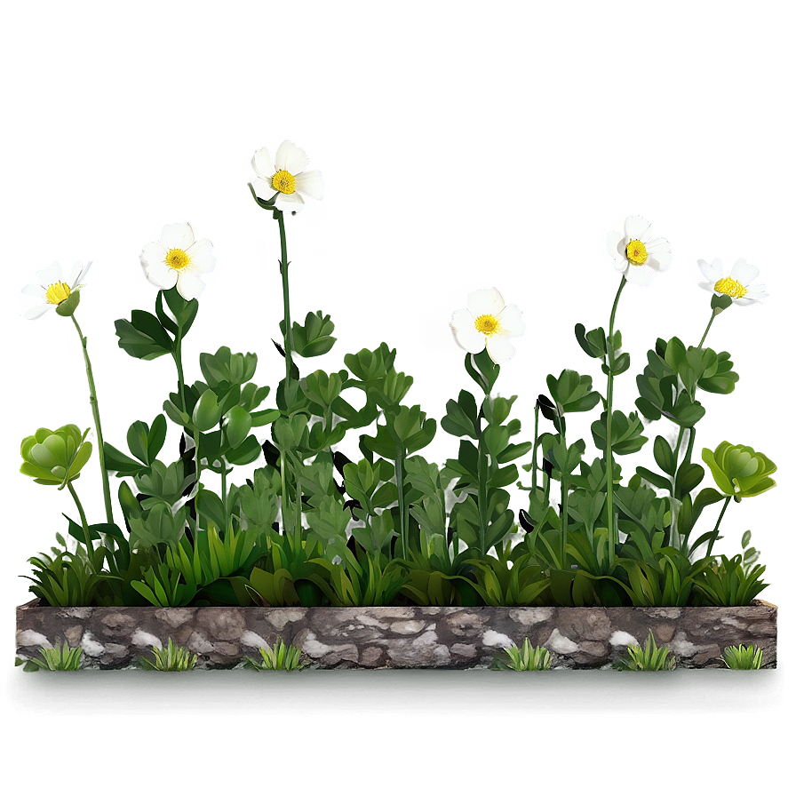 Buttercup Garden Png 06252024 PNG