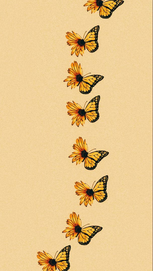 Farfalle E Girasoli Sfondo
