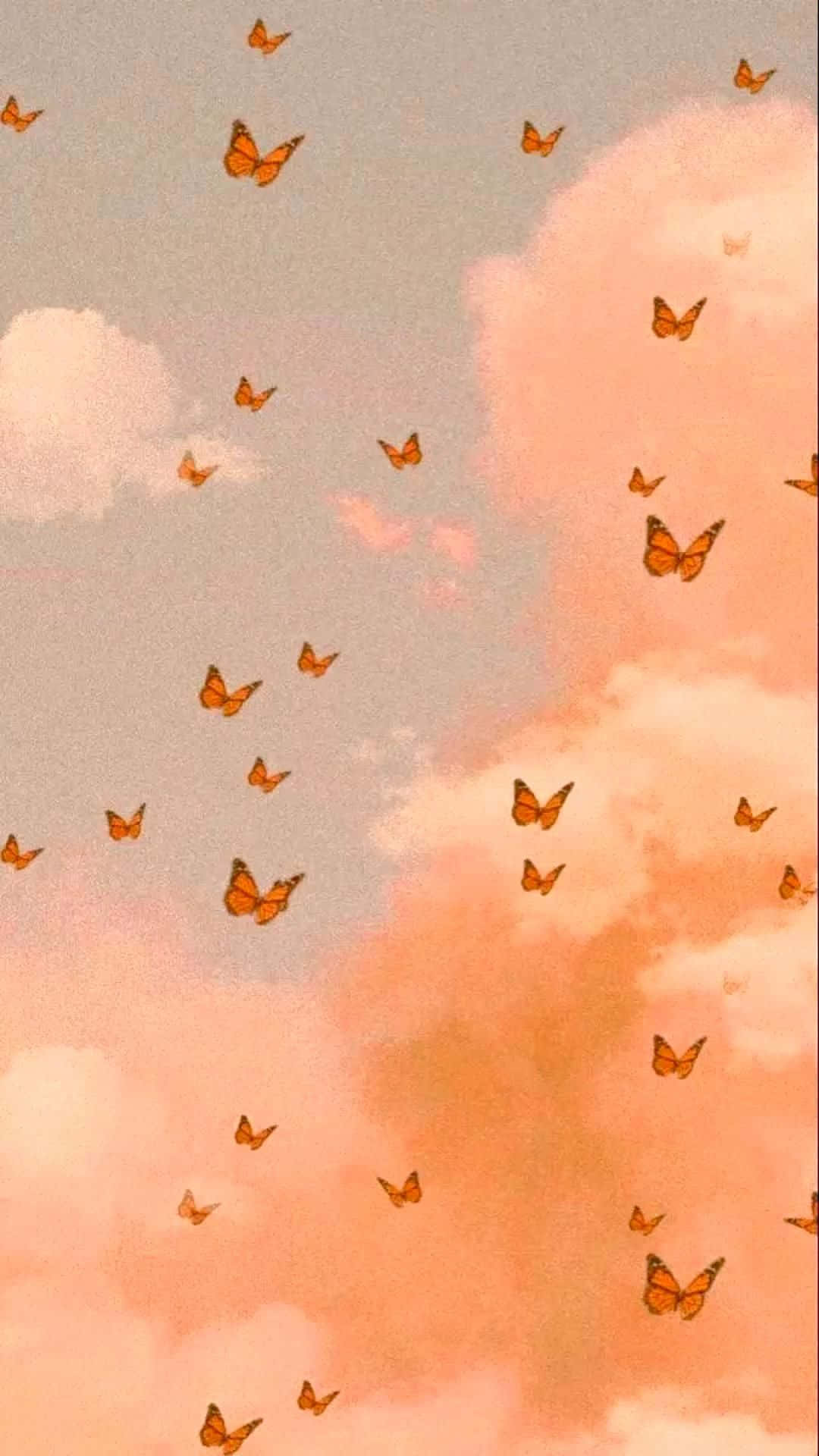 Butterflies Clouds Cute Background Wallpaper
