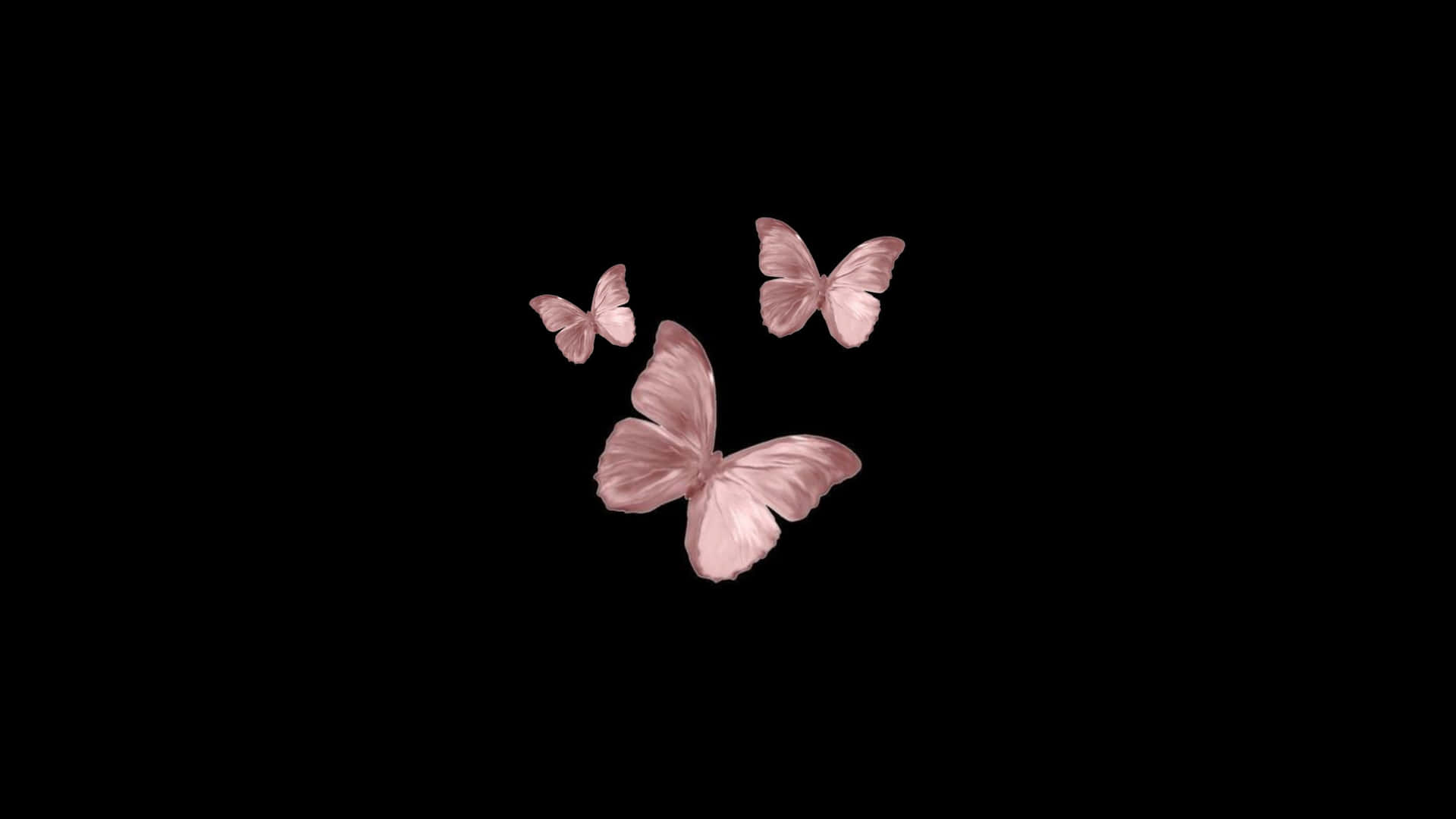 Unfondo Negro Con Mariposas Rosas Volando En El Aire Fondo de pantalla