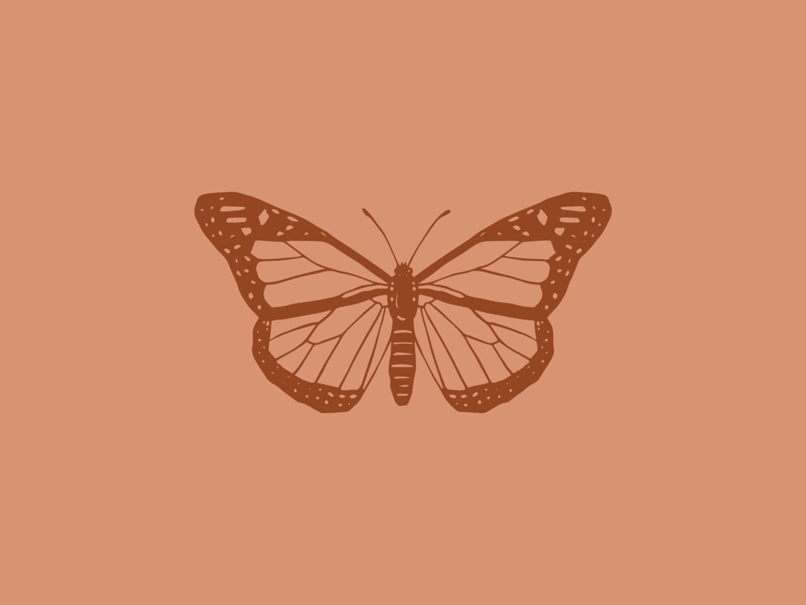 Explorael Efecto Mariposa Con Tu Propio Laptop. Fondo de pantalla
