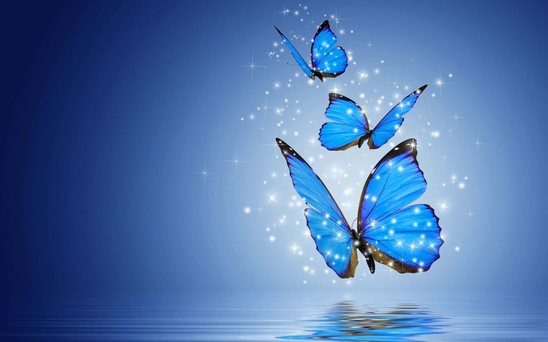 A desktop laptop adorned in butterflies Wallpaper